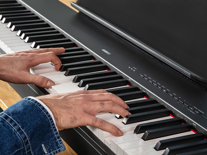 The hands of a person playing the P-223